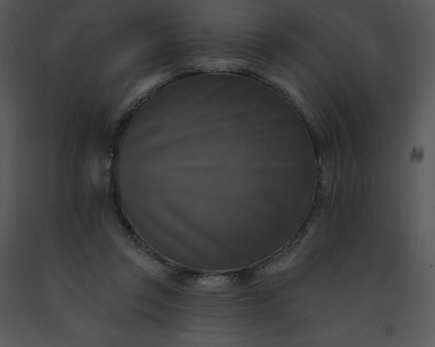 X0000091510357200708311232