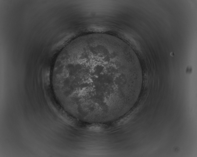 X0000091510358200708311232