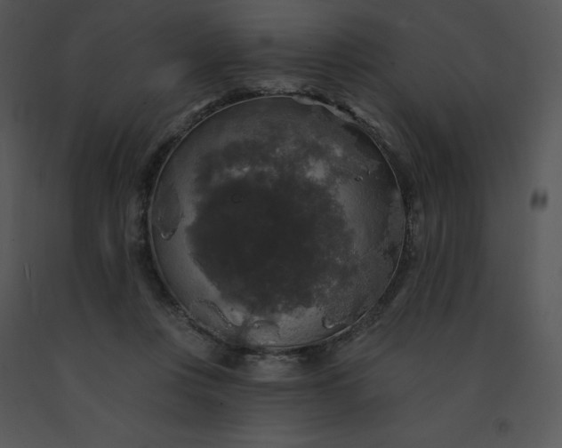 X0000091510359200708311232