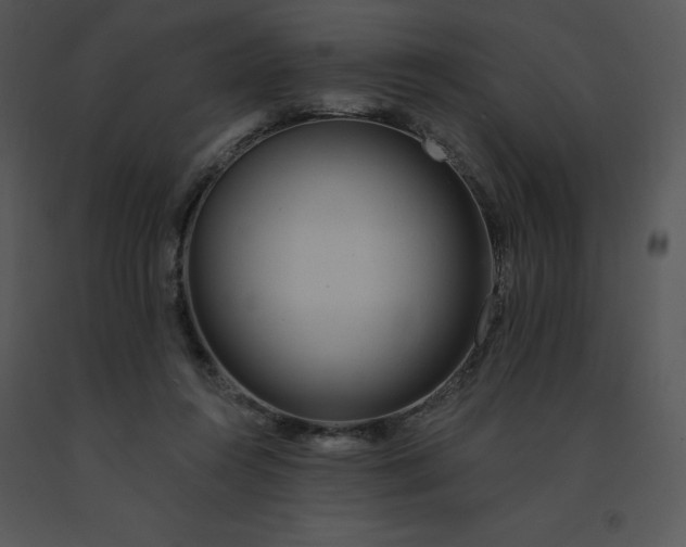 X0000091510360200708311232