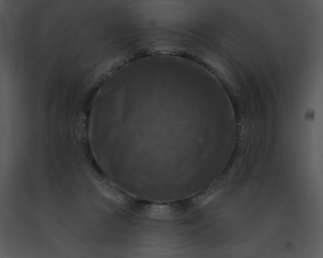 X0000091510361200708311232