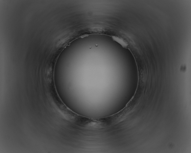 X0000091510364200708311232