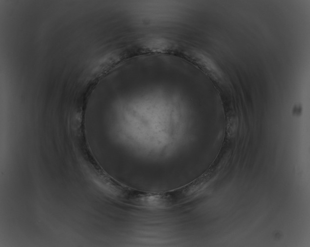 X0000091510365200708311232