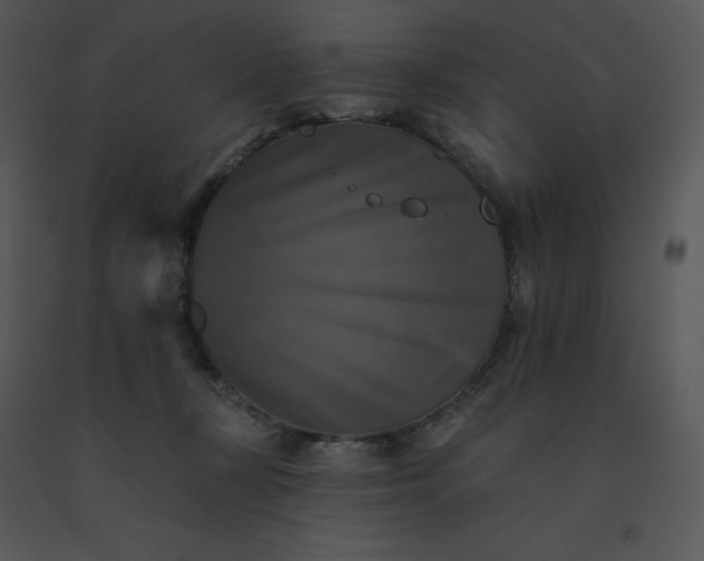 X0000091510367200708311232