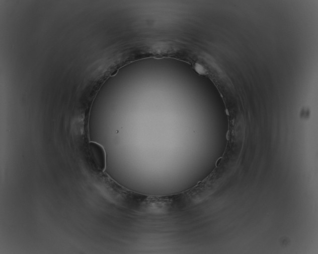 X0000091510368200708311232