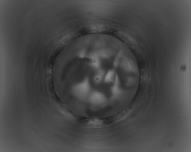 X0000091510369200708311232