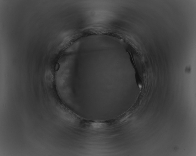 X0000091510371200708311232