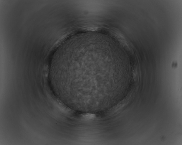 X0000091510374200708311232