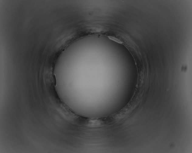 X0000091510376200708311232