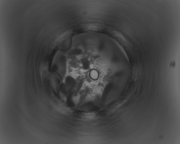 X0000091510377200708311232