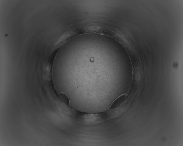 X0000091510378200708311232