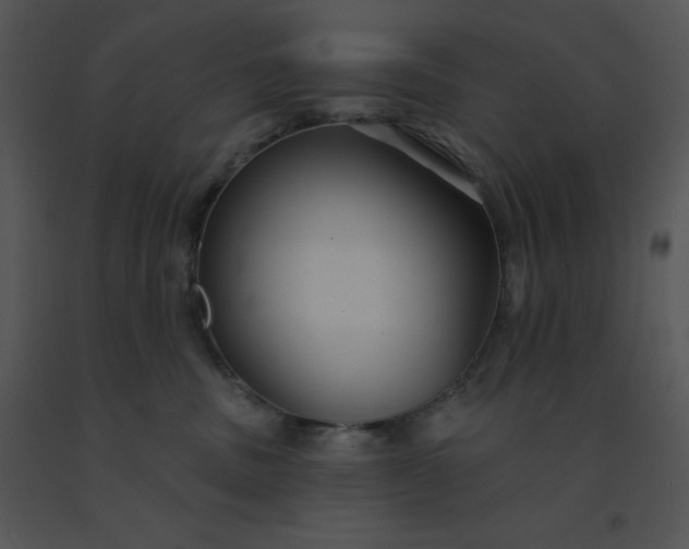 X0000091510379200708311232