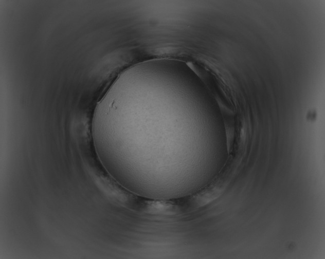 X0000091510380200708311232