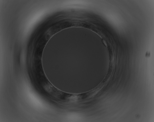 X0000091510383200708311232