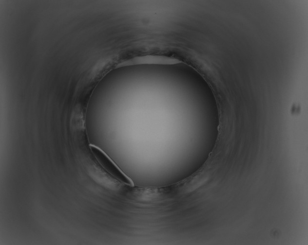 X0000091510384200708311232