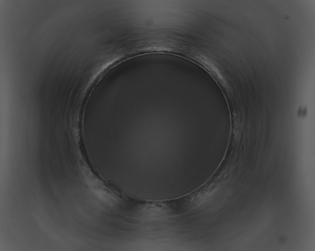 X0000091510386200708311231