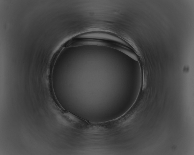 X0000091510387200708311231