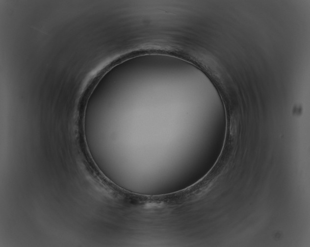 X0000091510388200708311231