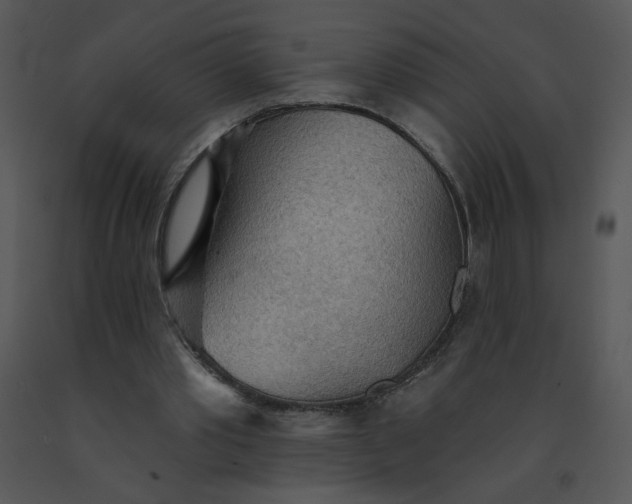 X0000091510389200708311231