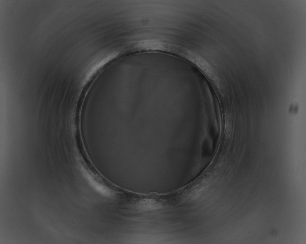 X0000091510390200708311231