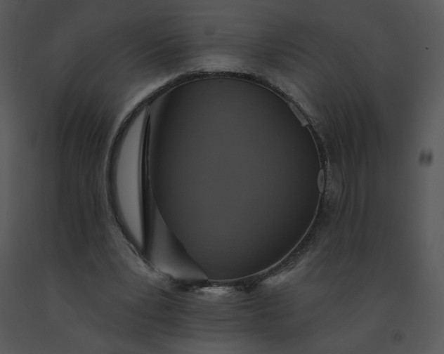 X0000091510391200708311231