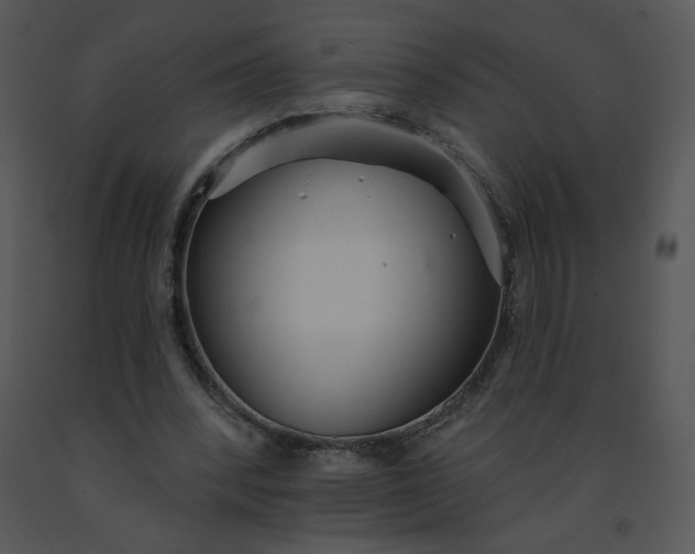 X0000091510392200708311231