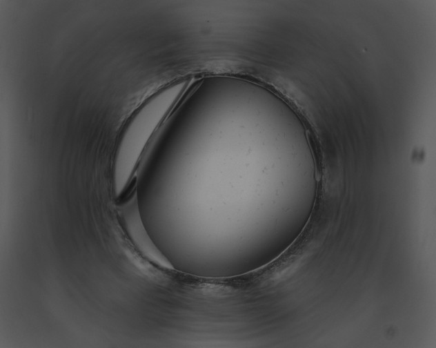 X0000091510393200708311231