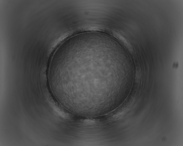 X0000091510394200708311231