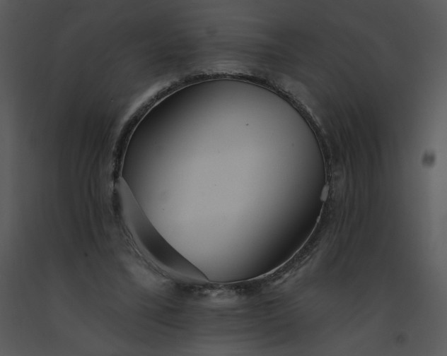 X0000091510395200708311231