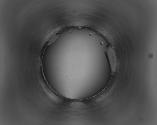 X0000091510397200708311231