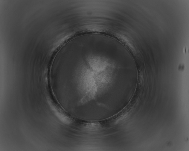 X0000091510398200708311231