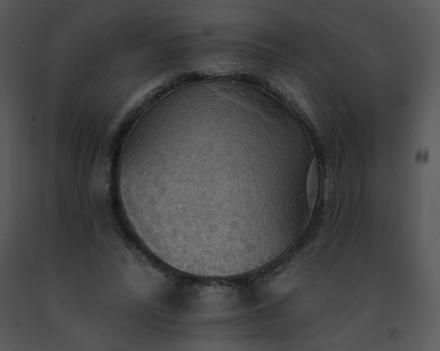 X0000091510400200708311231