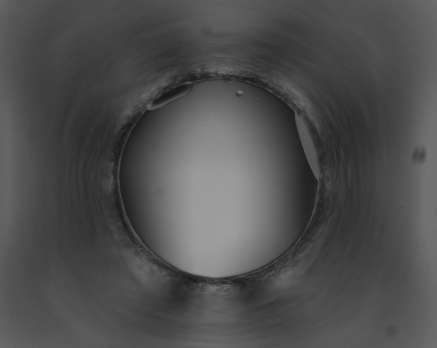 X0000091510401200708311231