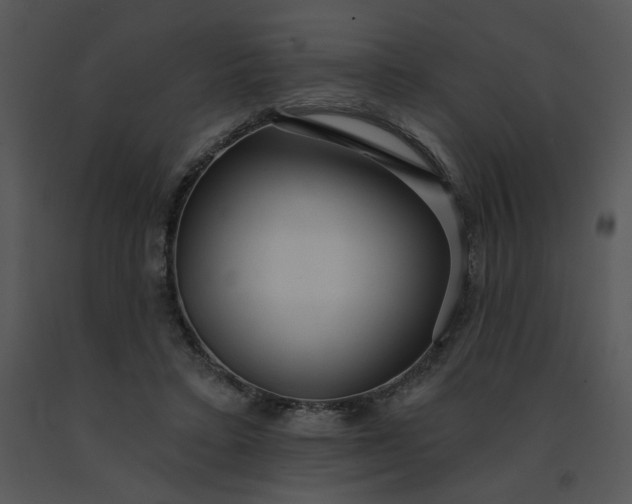 X0000091510403200708311231