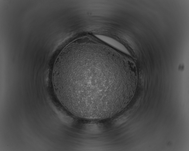 X0000091510404200708311231