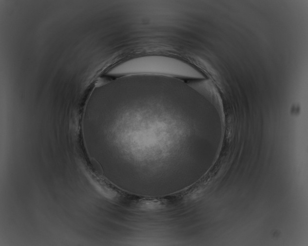 X0000091510405200708311231