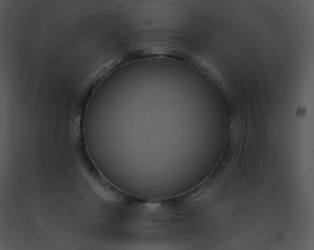 X0000091510406200708311231