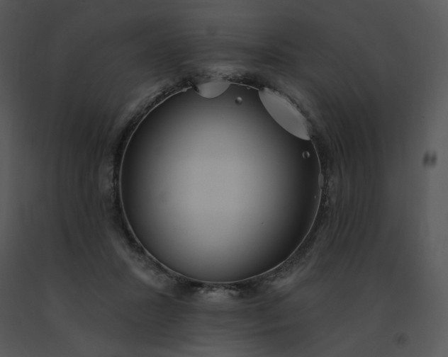 X0000091510407200708311231