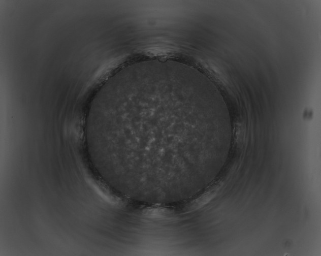 X0000091510408200708311231