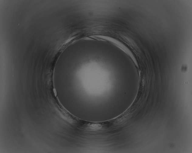 X0000091510409200708311231