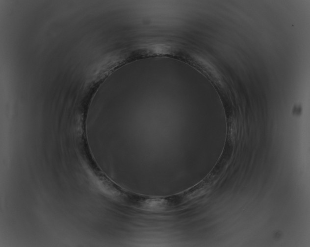 X0000091510410200708311231