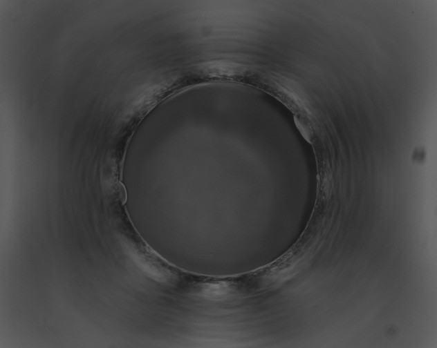 X0000091510411200708311231