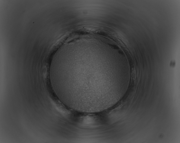 X0000091510412200708311231