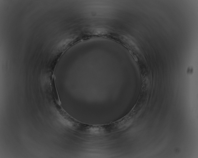 X0000091510415200708311231