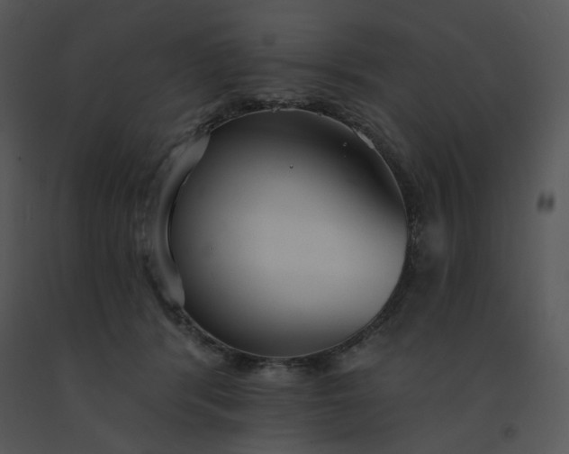 X0000091510416200708311231