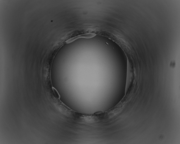 X0000091510417200708311231