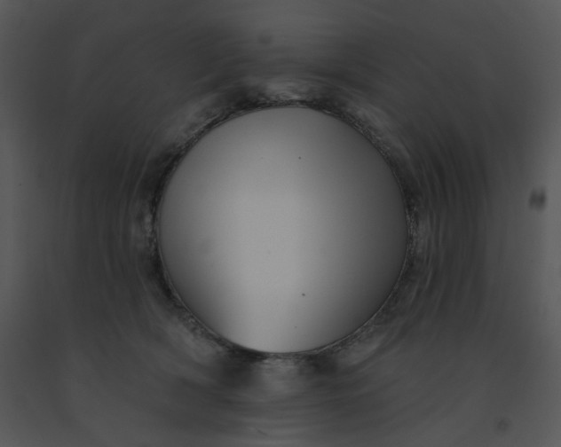 X0000091510418200708311231