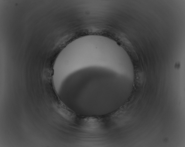 X0000091510419200708311231