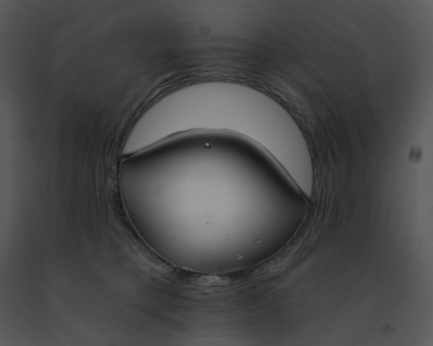 X0000091510421200708311231