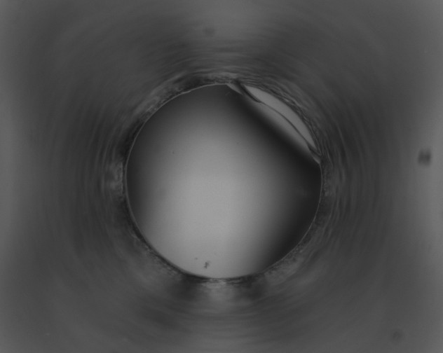 X0000091510425200708311231